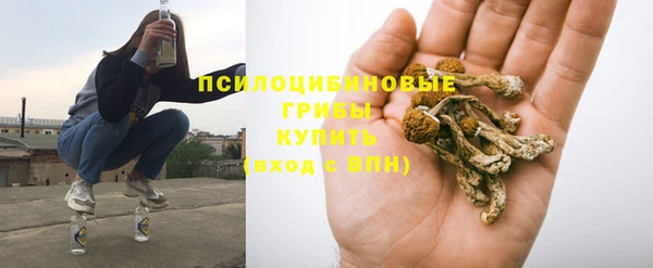 тгк Вяземский