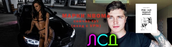дживик Вязьма