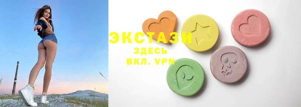 дживик Вязьма