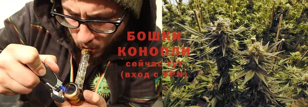 PSILOCYBIN Семилуки