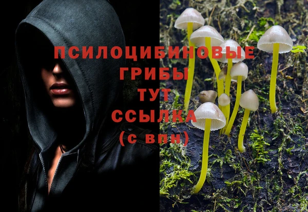 тгк Вяземский