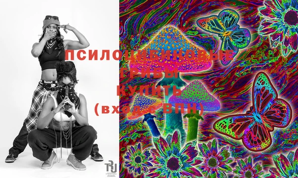 дживик Вязьма