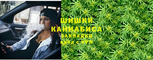 дживик Вязьма