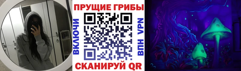 Галлюциногенные грибы Cubensis  наркота  кракен ссылки  Карасук 